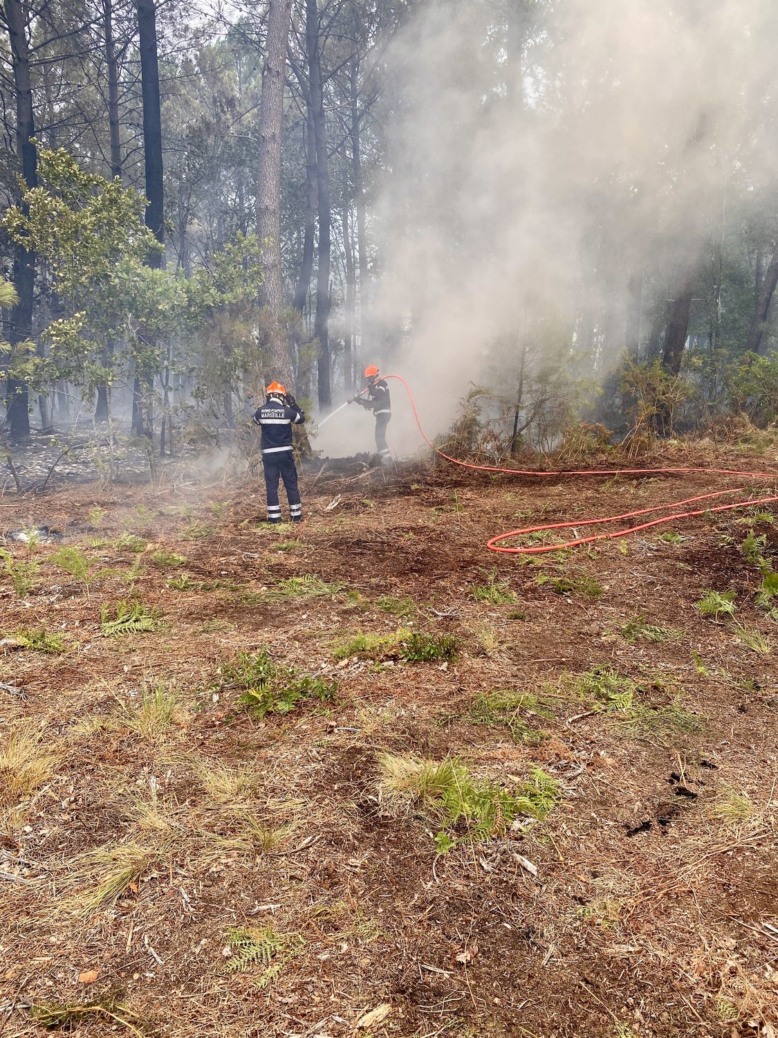 Incendies en Gironde : comment l'entretien protège vos panneaux solaires